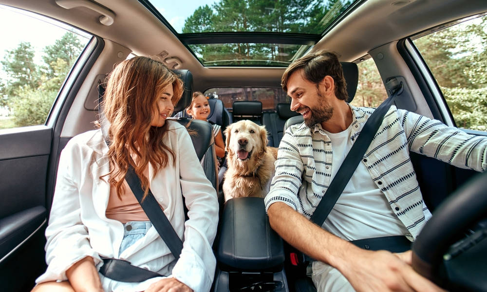 Family Vehicle Rental
